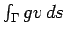$\int_\Gamma g v   ds$