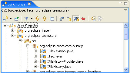 Picture showing the Synchronize/Compare preference page